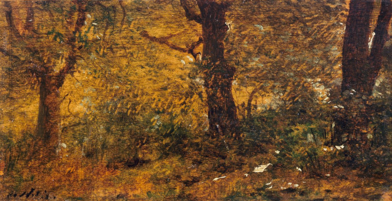 Studie av trä av Giuseppe or Joseph de Nittis