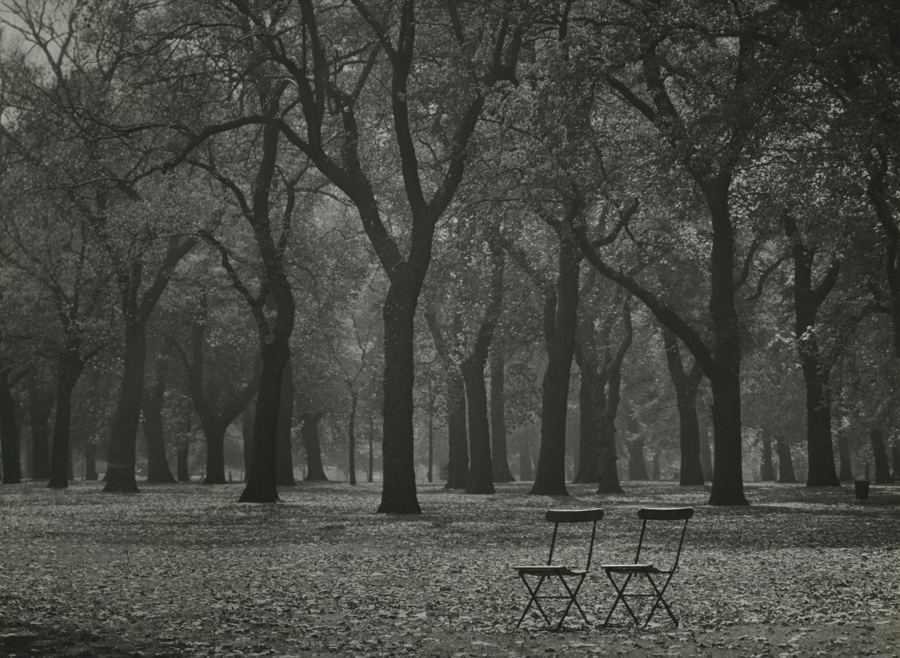 Höstens träd i Hyde Park, London av Godfrey Macdominic