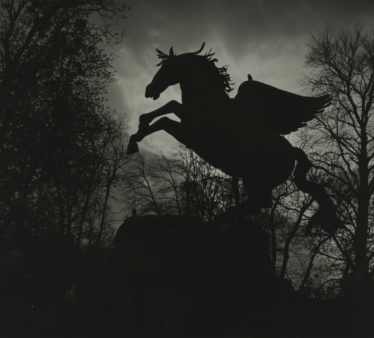 Pegasusstatyn i Mirabell Gardens av Godfrey Macdominic