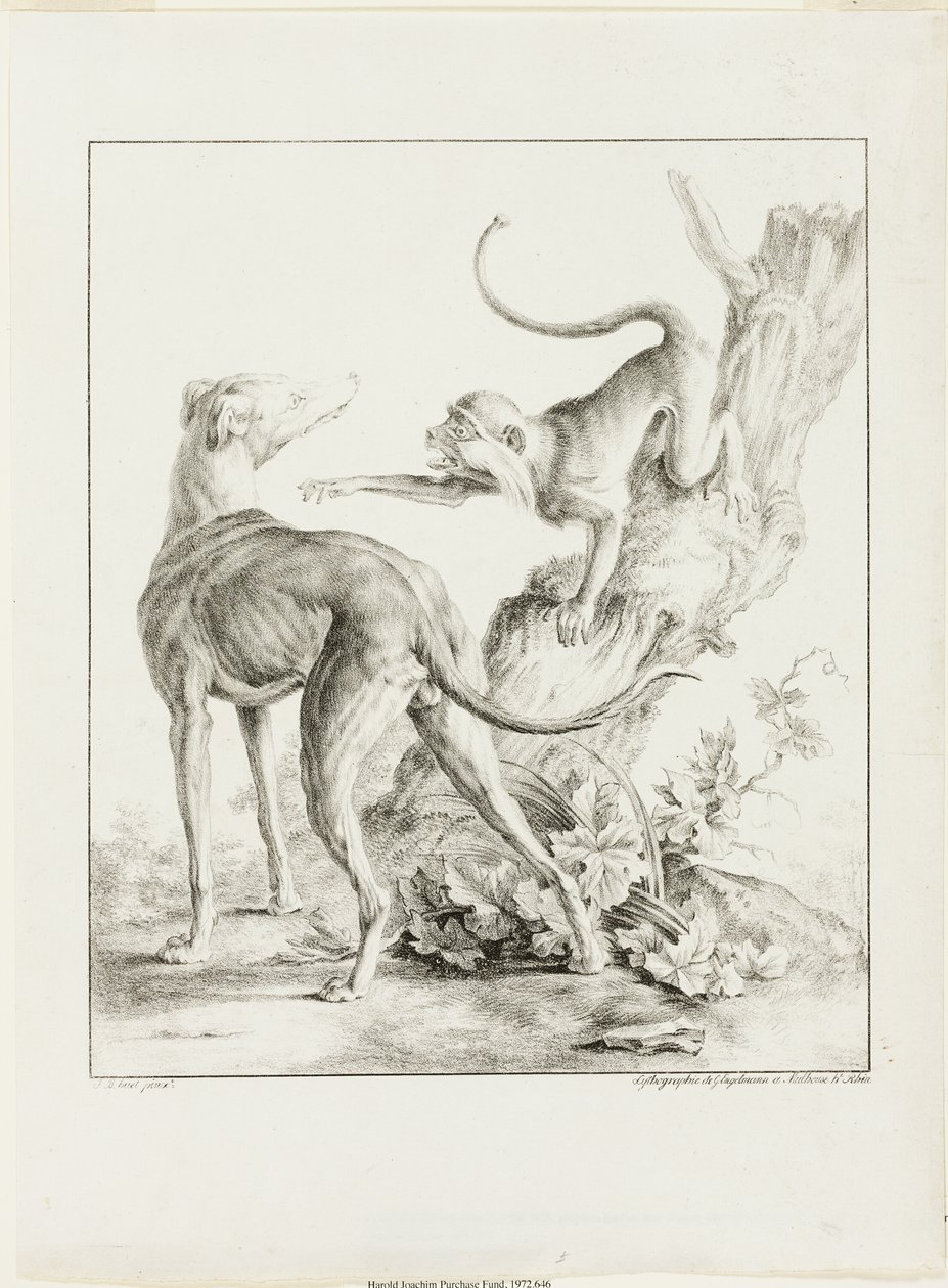 Hund och apa av Gottfried Engelmann