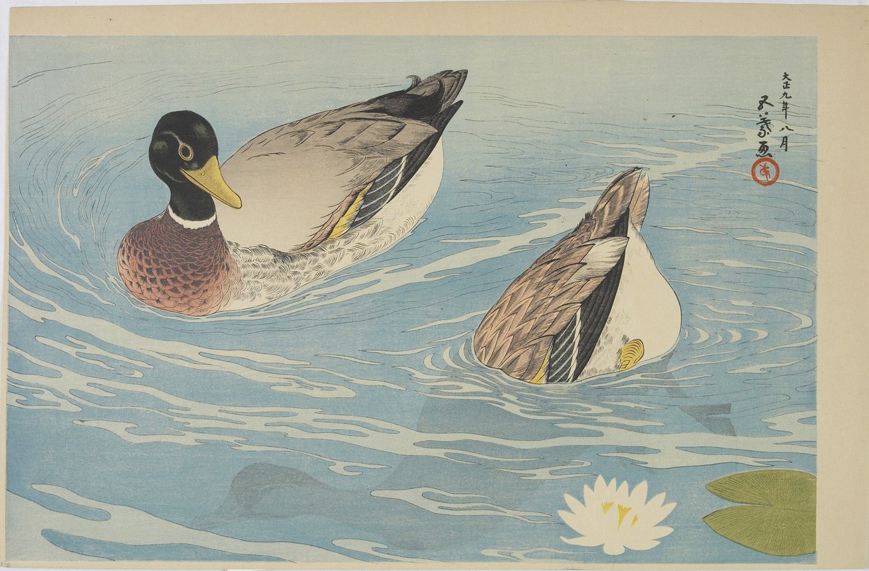 Ducks, augusti 1920 av Goyo Hashiguchi