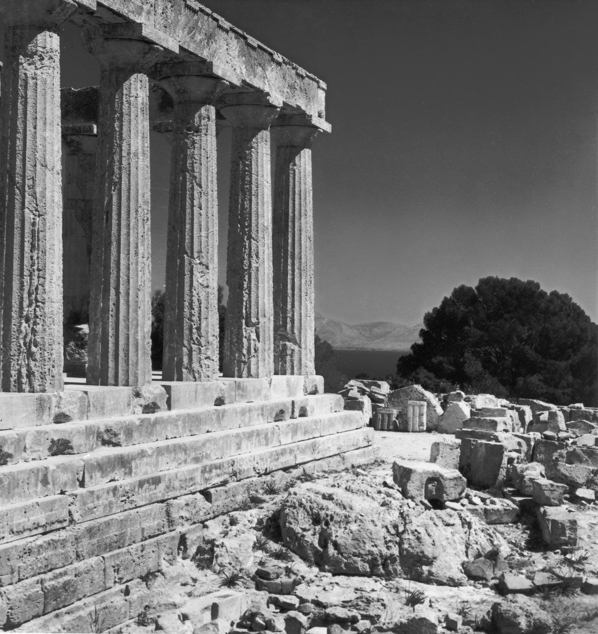 Templet i Afaea av Greek