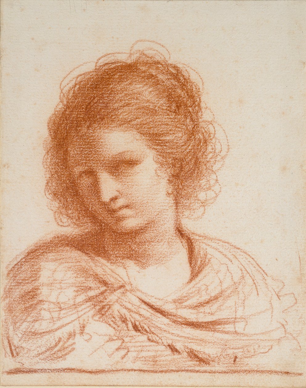 Chef för en ung kvinna, 1550-1666 av Guercino