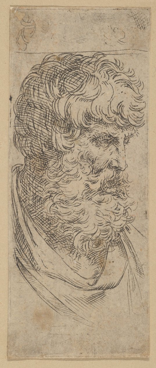 Byst av en skäggig man, ca. 1600-1640. av Guido Reni