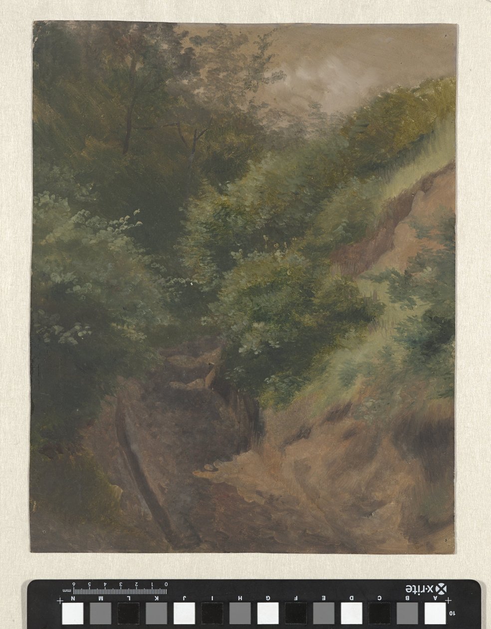 Dune väg av Guillaume Anne van der Brugghen