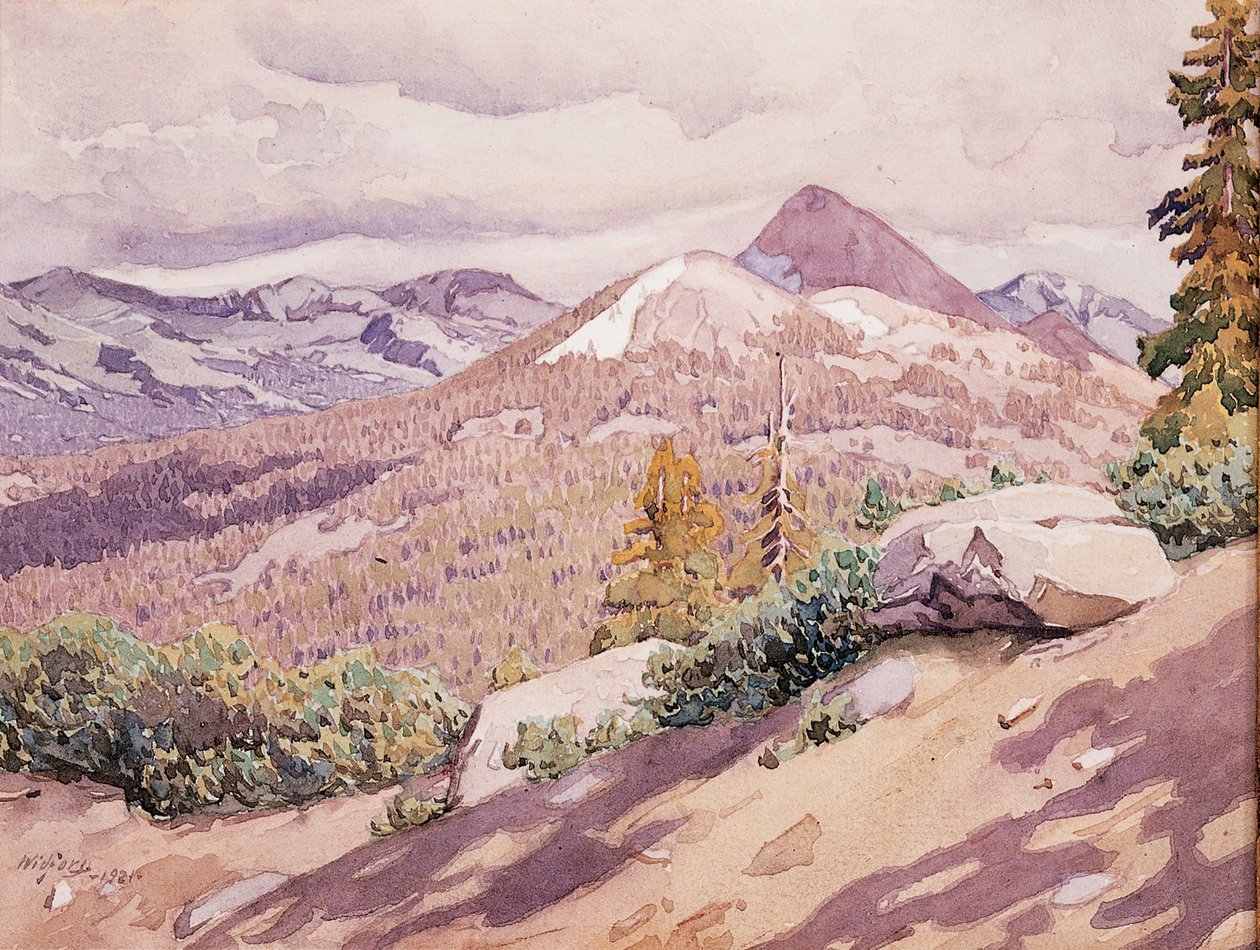 High Sierra av Gunnar Widforss