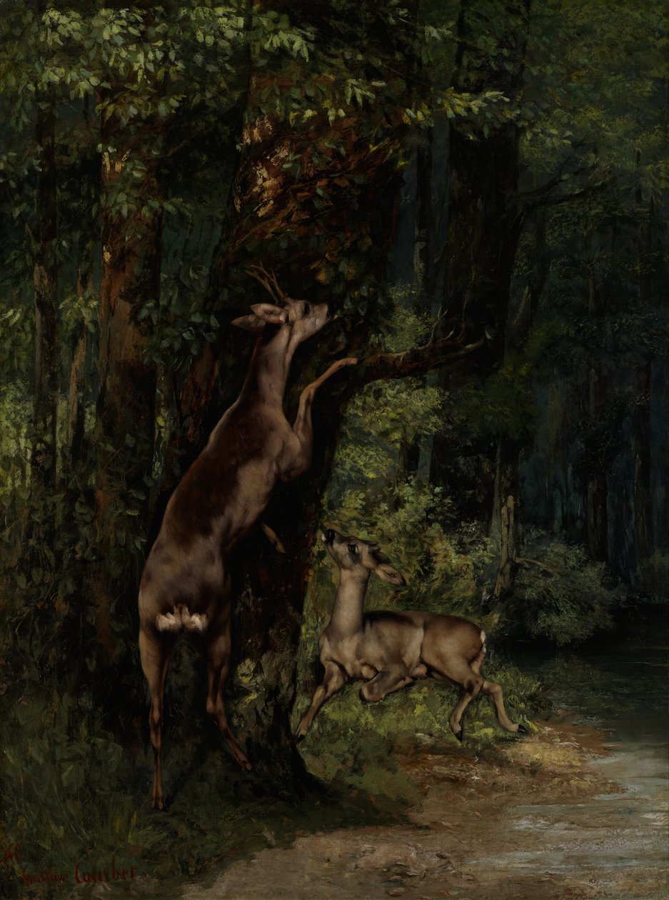 Deer in the Forest av Gustave Courbet