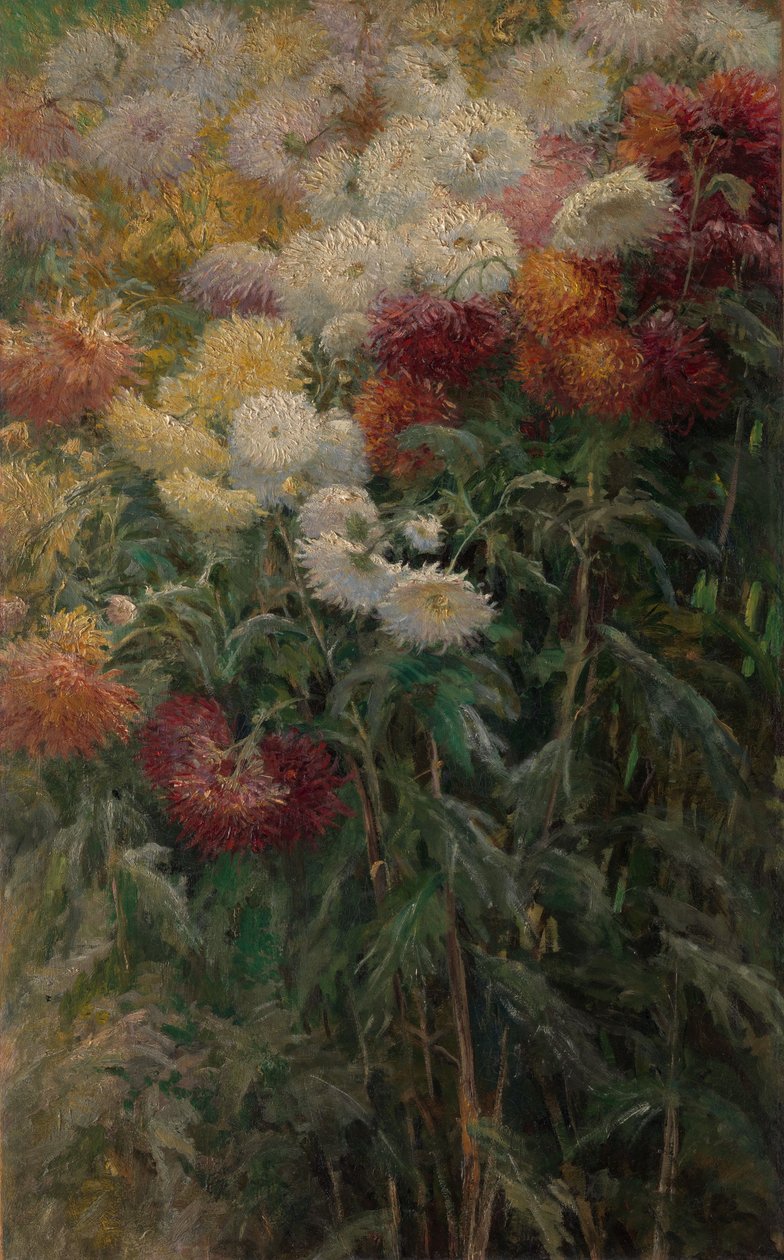 Krysantemum i trädgården vid Petit-Gennevilliers av Gustave Caillebotte