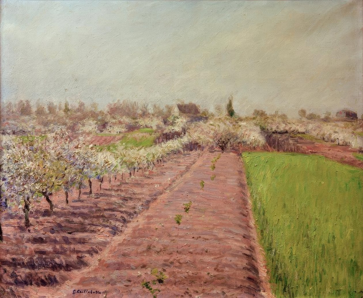 Äppelträd i blom, kulle i Colombes av Gustave Caillebotte