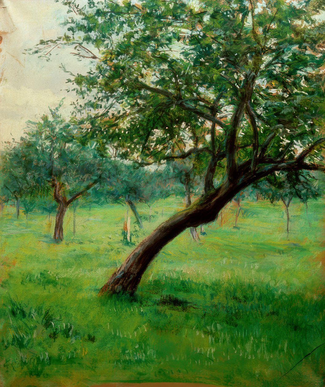 Verger, dit aussi Verger en Normandie av Gustave Caillebotte