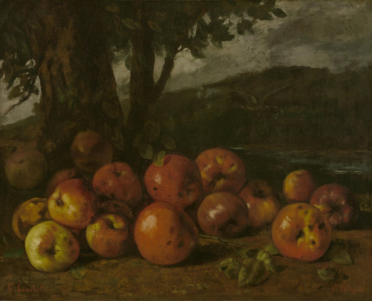Stilleben med äpplen av Gustave Courbet