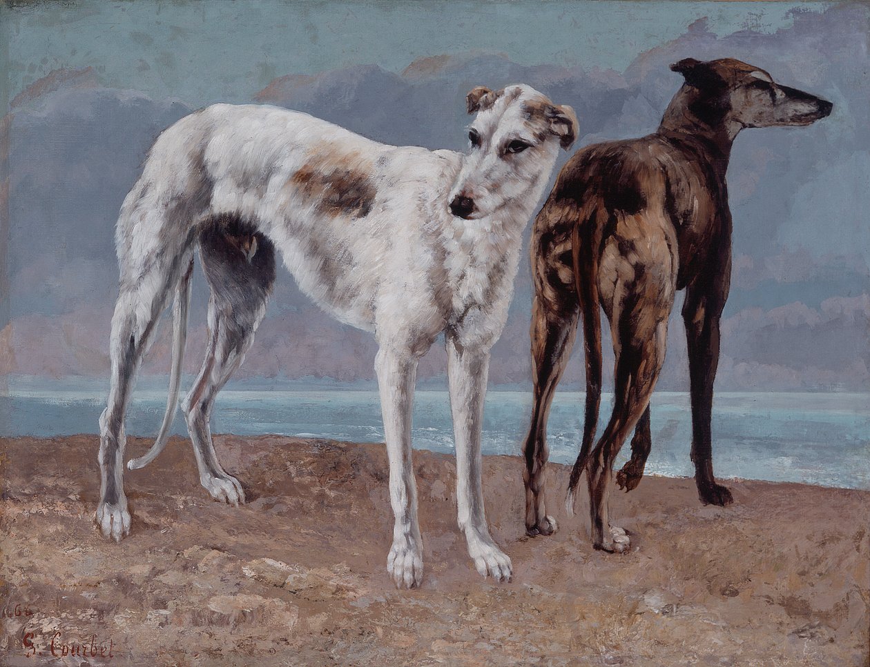 Comte de Choiseuls vinthundar av Gustave Courbet