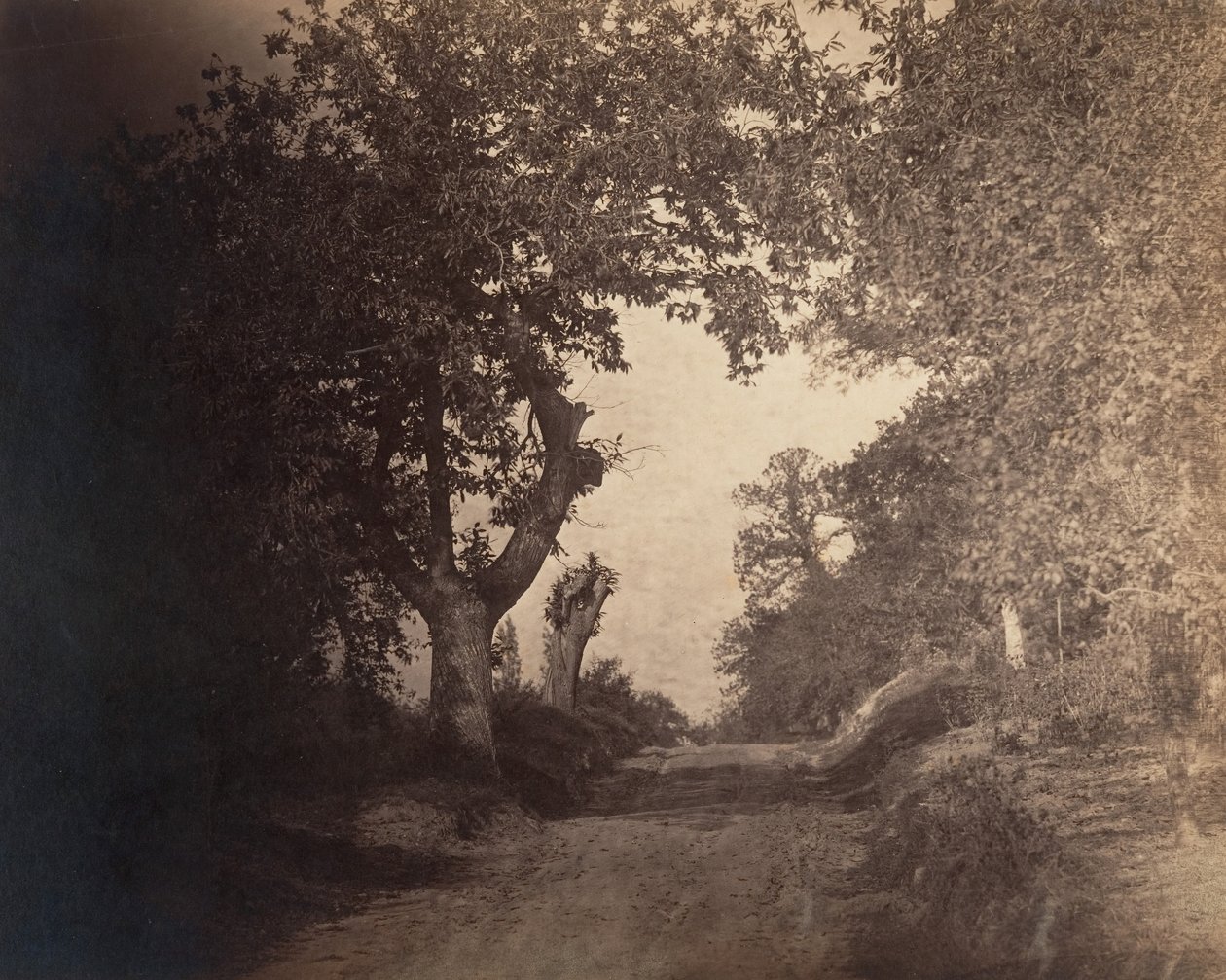 Fontainebleau, sandstig uppför, ca. 1856. av Gustave Le Gray