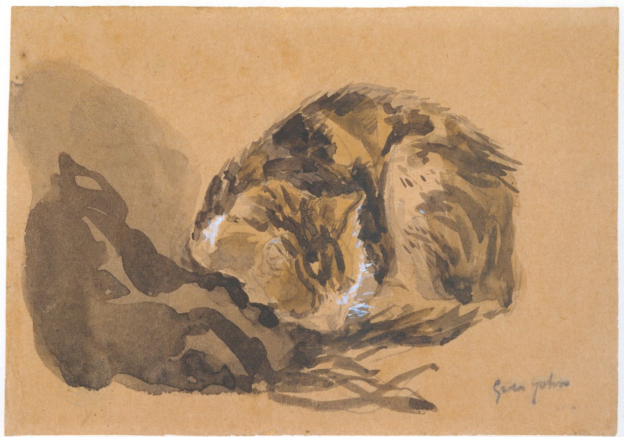 Studie av en katt, 1905-08 av Gwen John
