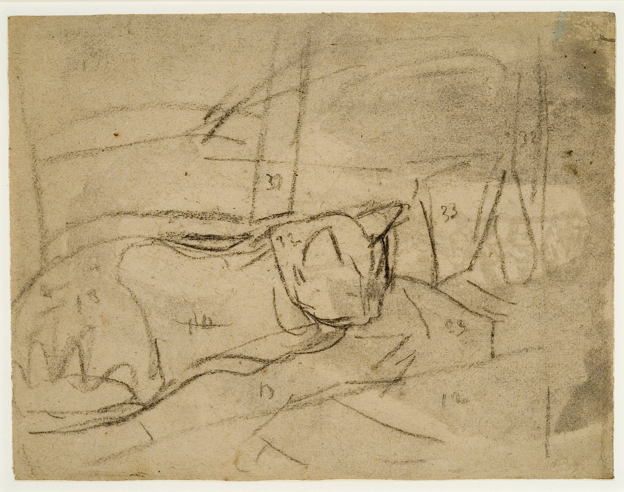 Studier av katter (kol på papper) av Gwen John