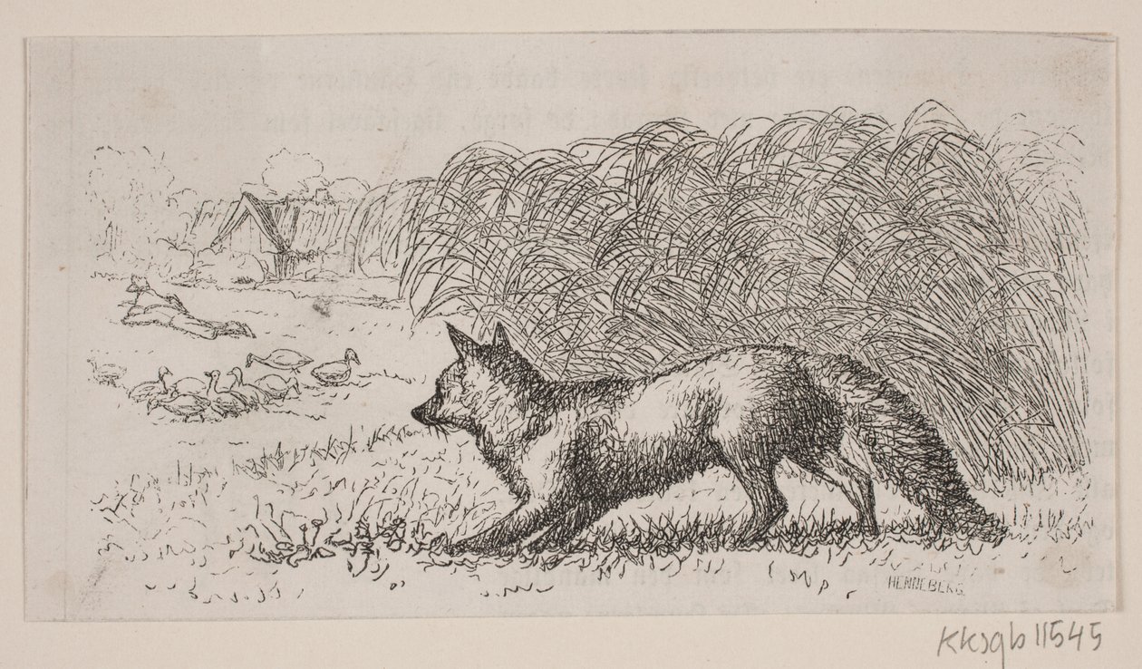 Illustration för: "Mr Mikkel" av H. C. Henneberg