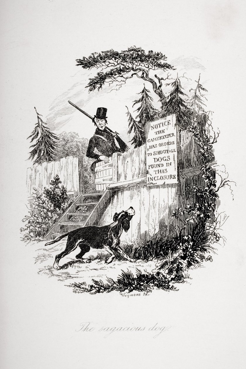 The sagacious dog, illustration från `The Pickwick Papers