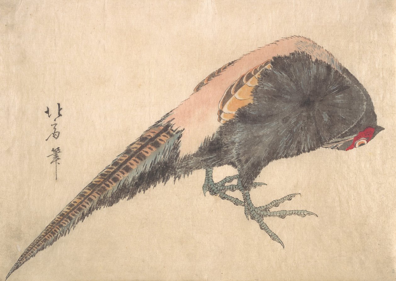 Fågel, 1830-tal. av Hakusanjin Hokui