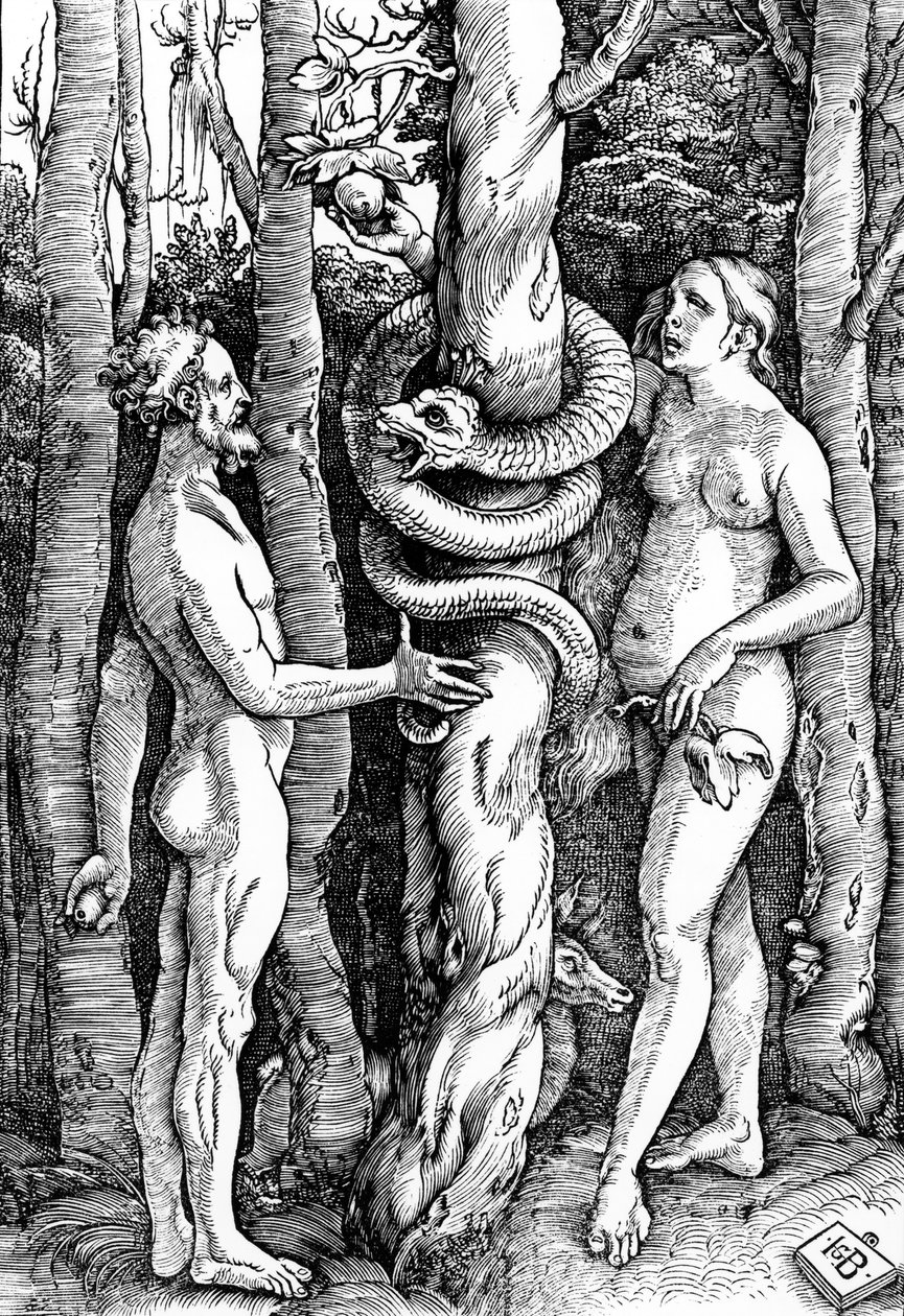 Människans fall, c.1514 av Hans Baldung Grien