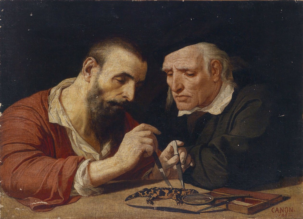 Der Salamander av Hans Canon