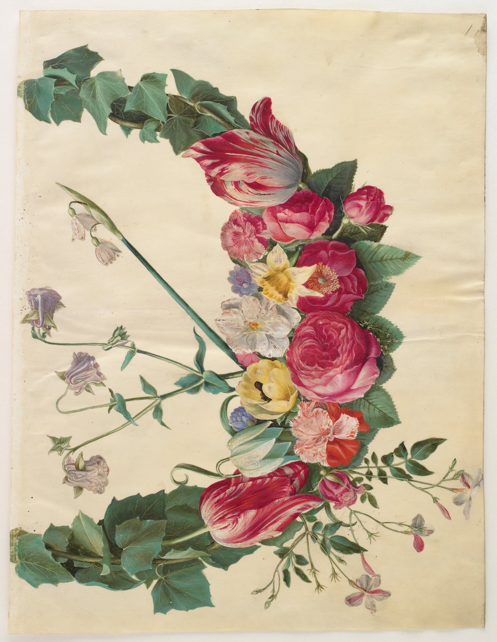 Blomma vinstockar av Hans Simon Holtzbecker