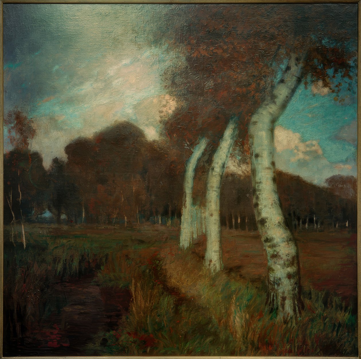 Björkar på hösten av Hans am Ende