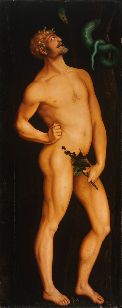 Adam av Hans Baldung