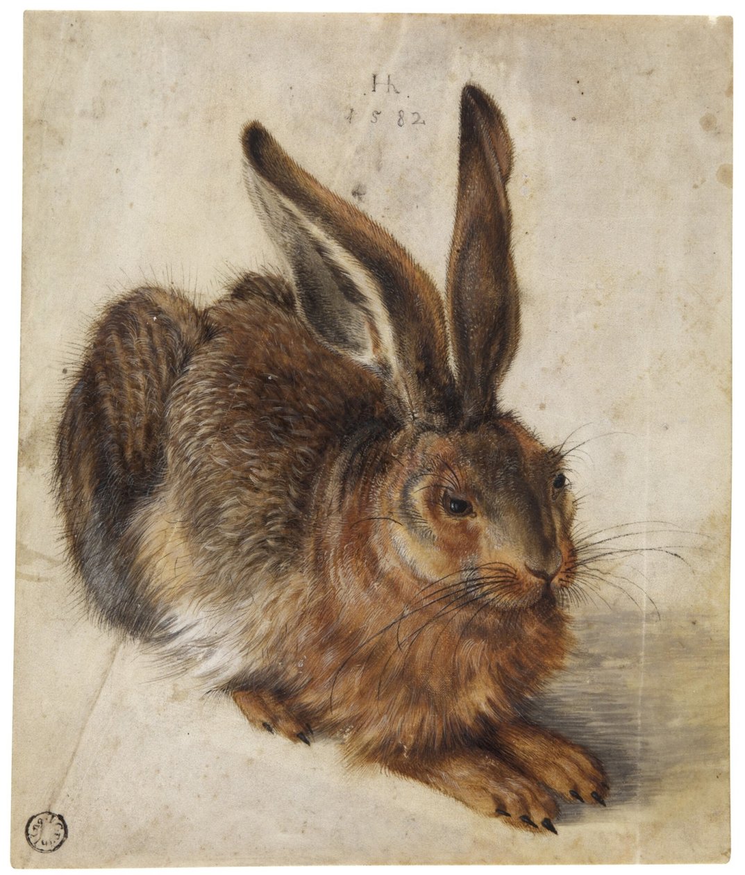 En hare av Hans Hoffmann