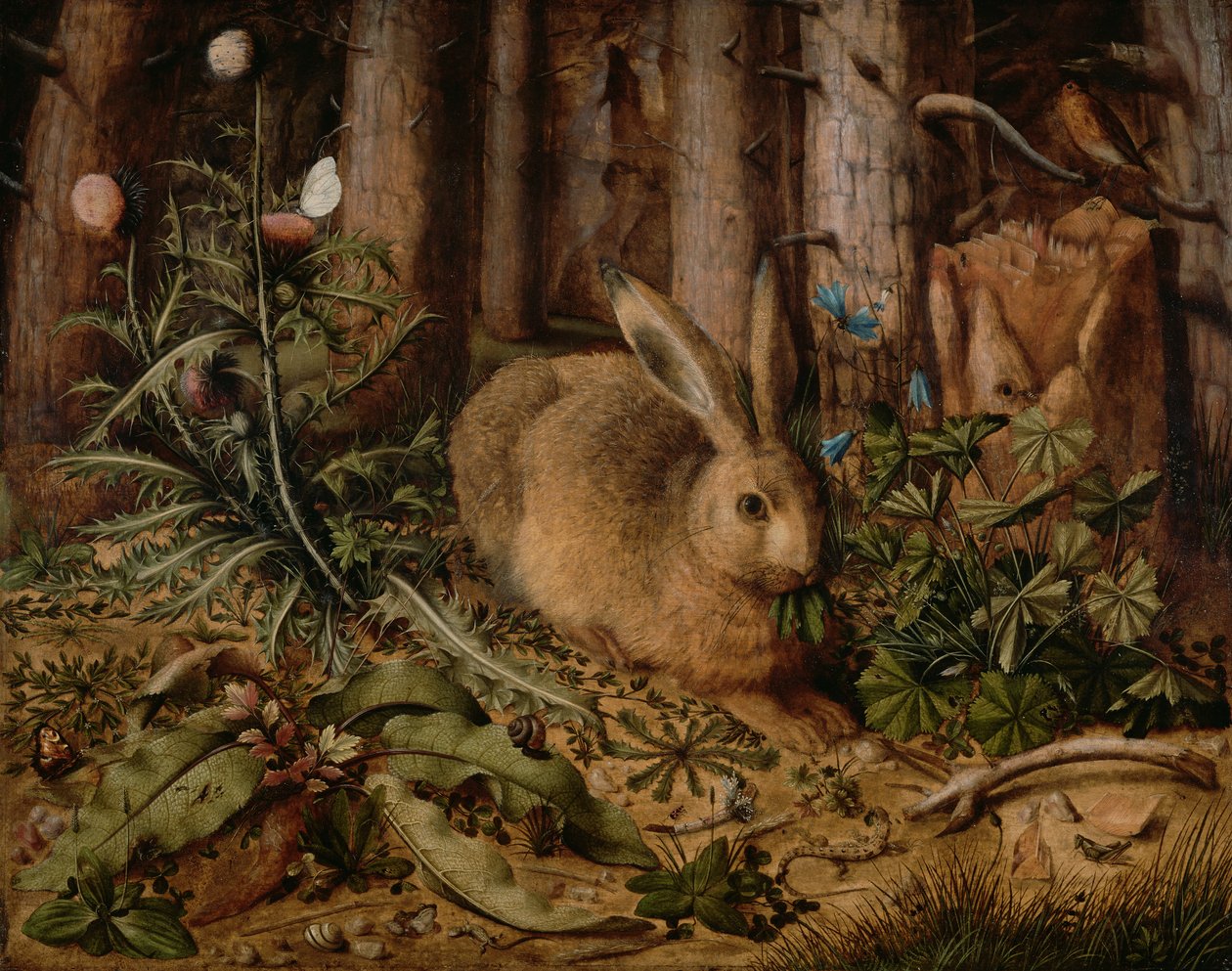 En hare i skogen av Hans Hoffmann