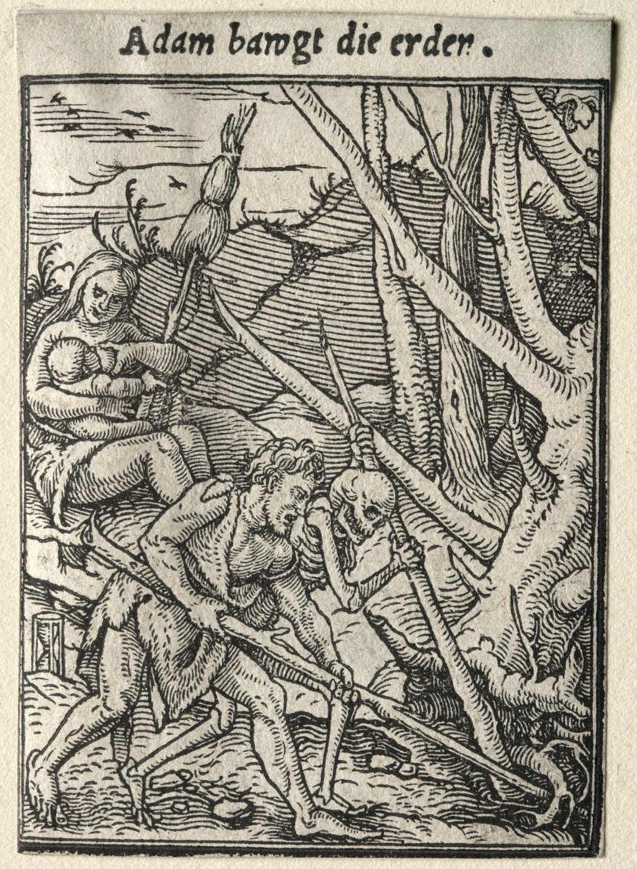 Dödsdansen: Adam Tilling the Ground av Hans Holbein