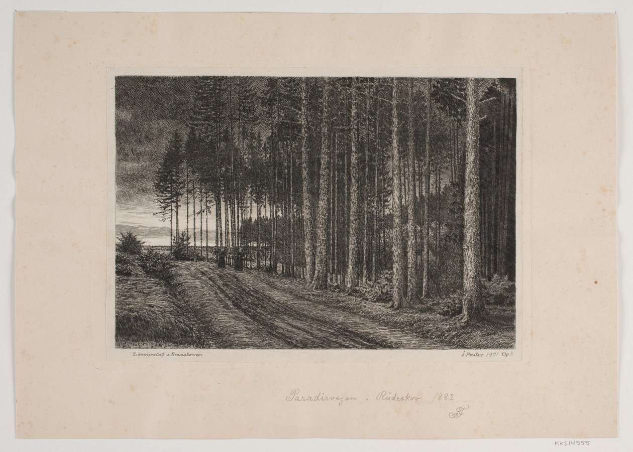 Regnig dag i granskogen av Hans Julius Fæster