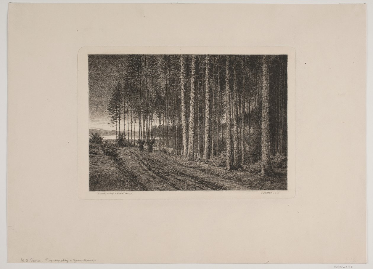 Regnig dag i granskogen av Hans Julius Fæster