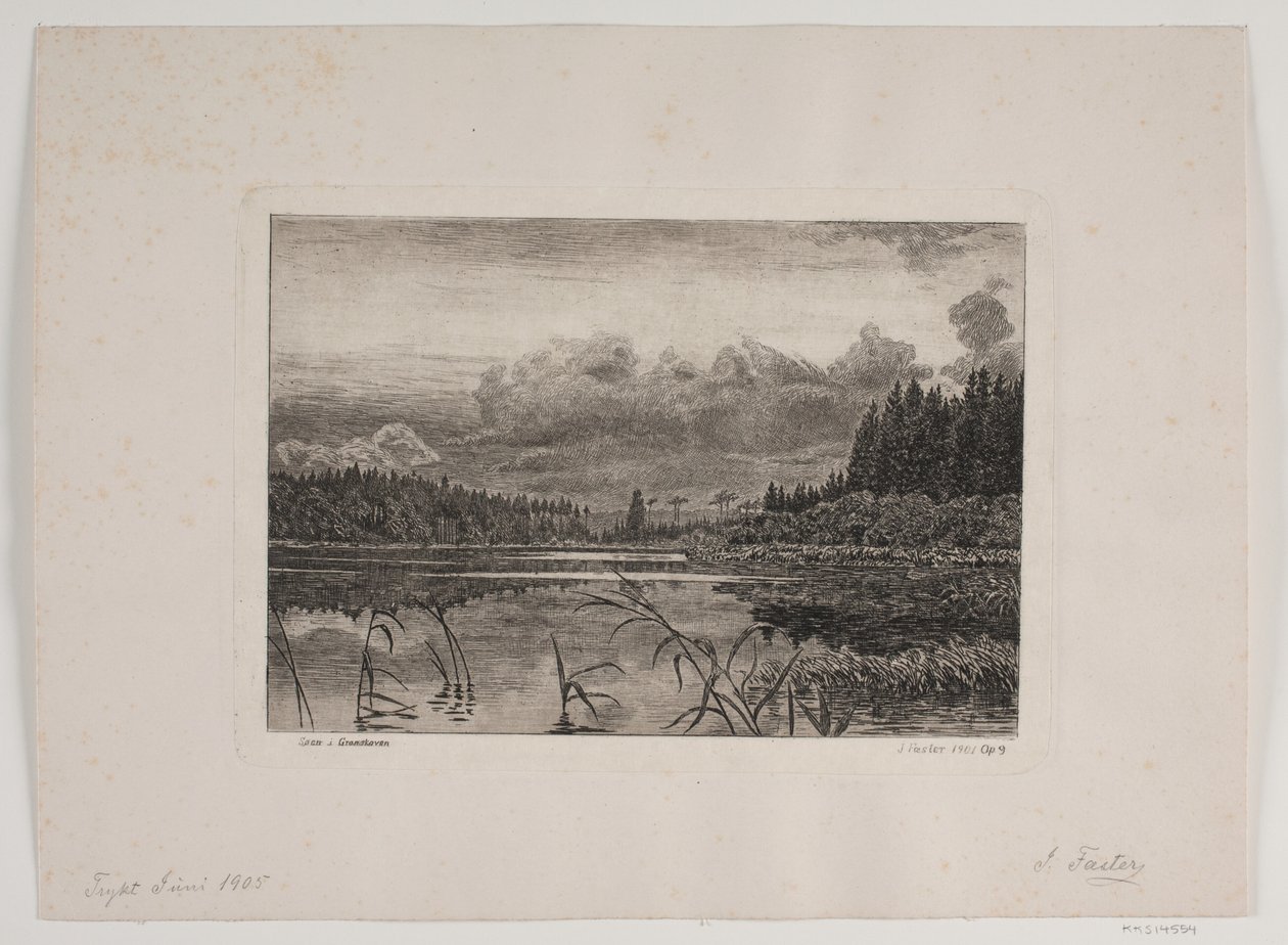 Sjön i granskogen av Hans Julius Fæster