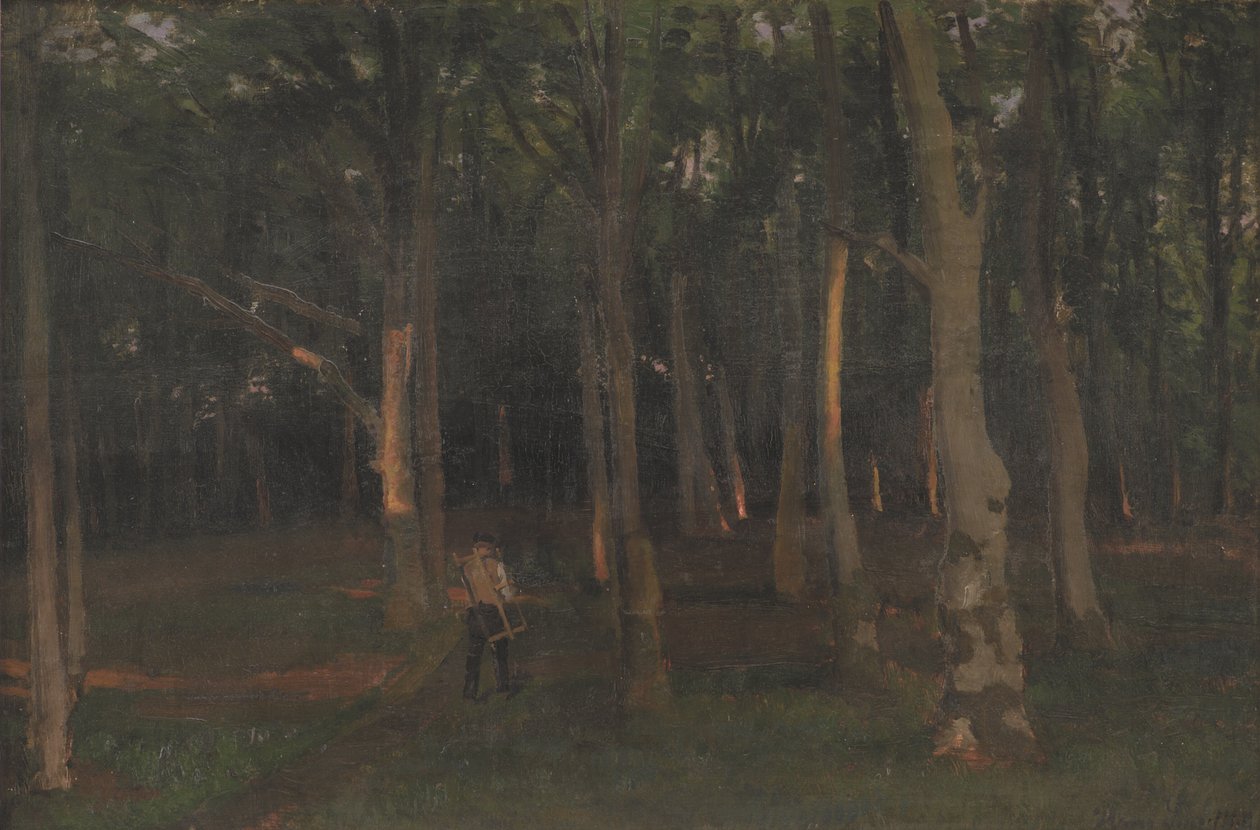 Skog vid solnedgången av Hans Smidth