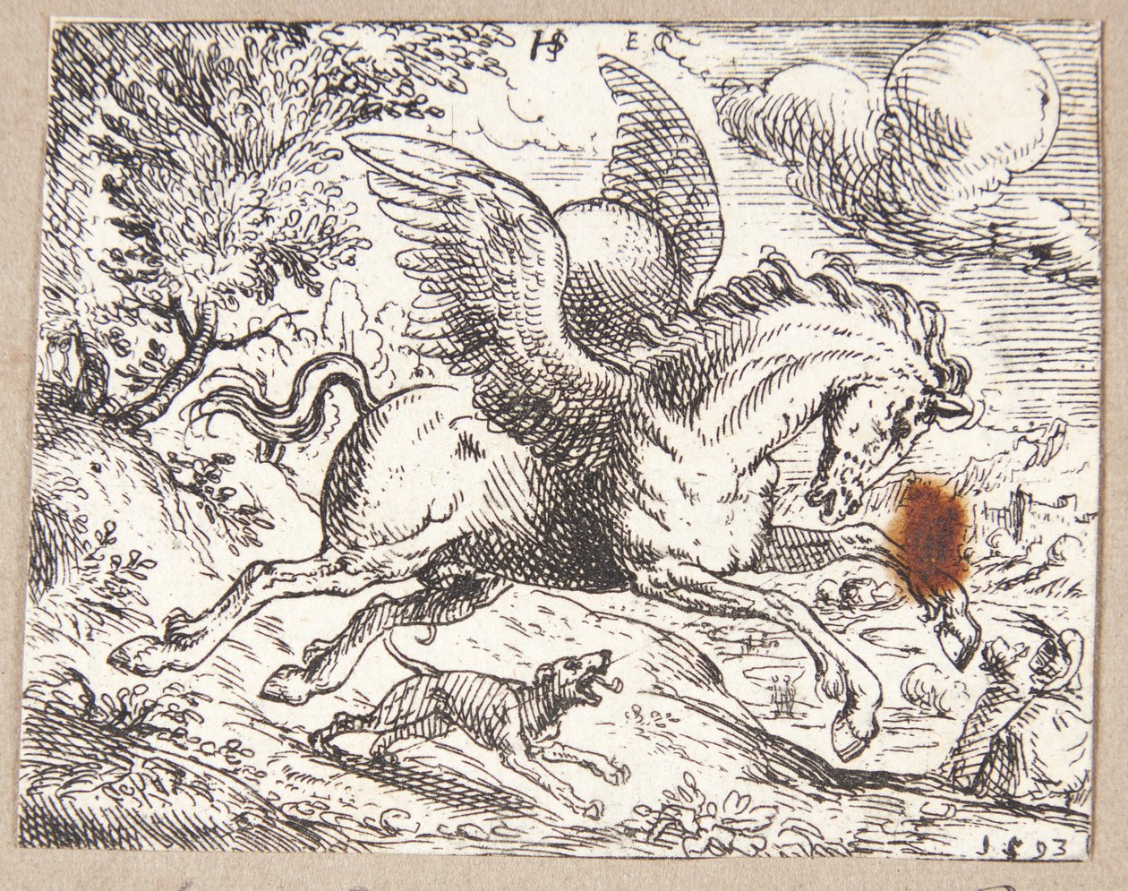 Pegasus av Hans Strohmayer