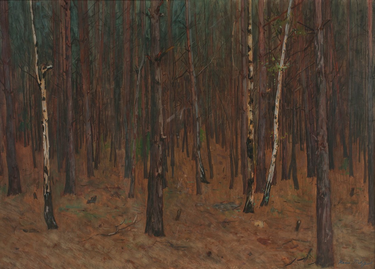 Waldinneres av Hans Tichy