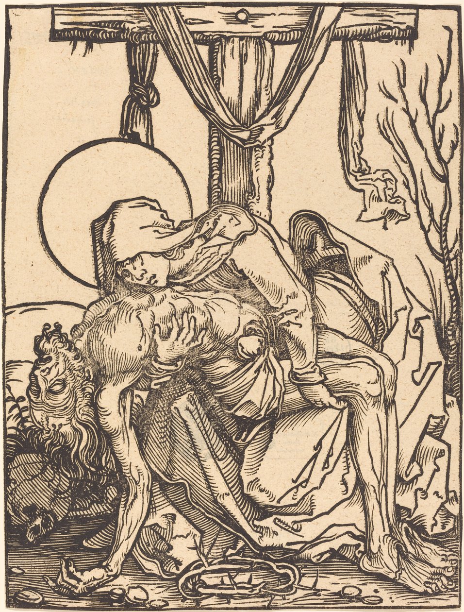 Medkänsla av Hans Weiditz, II