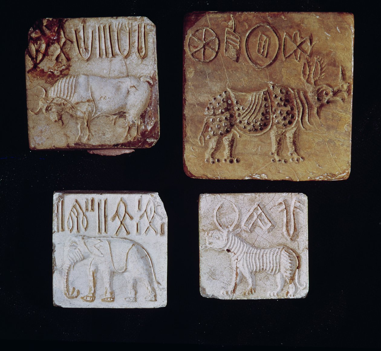 Fyra sigill föreställande en tjur, en noshörning, en elefant och en tiger med piktogramsymboler, från Indusdalen, Pakistan, 3000-1500 f.Kr. av Harappan