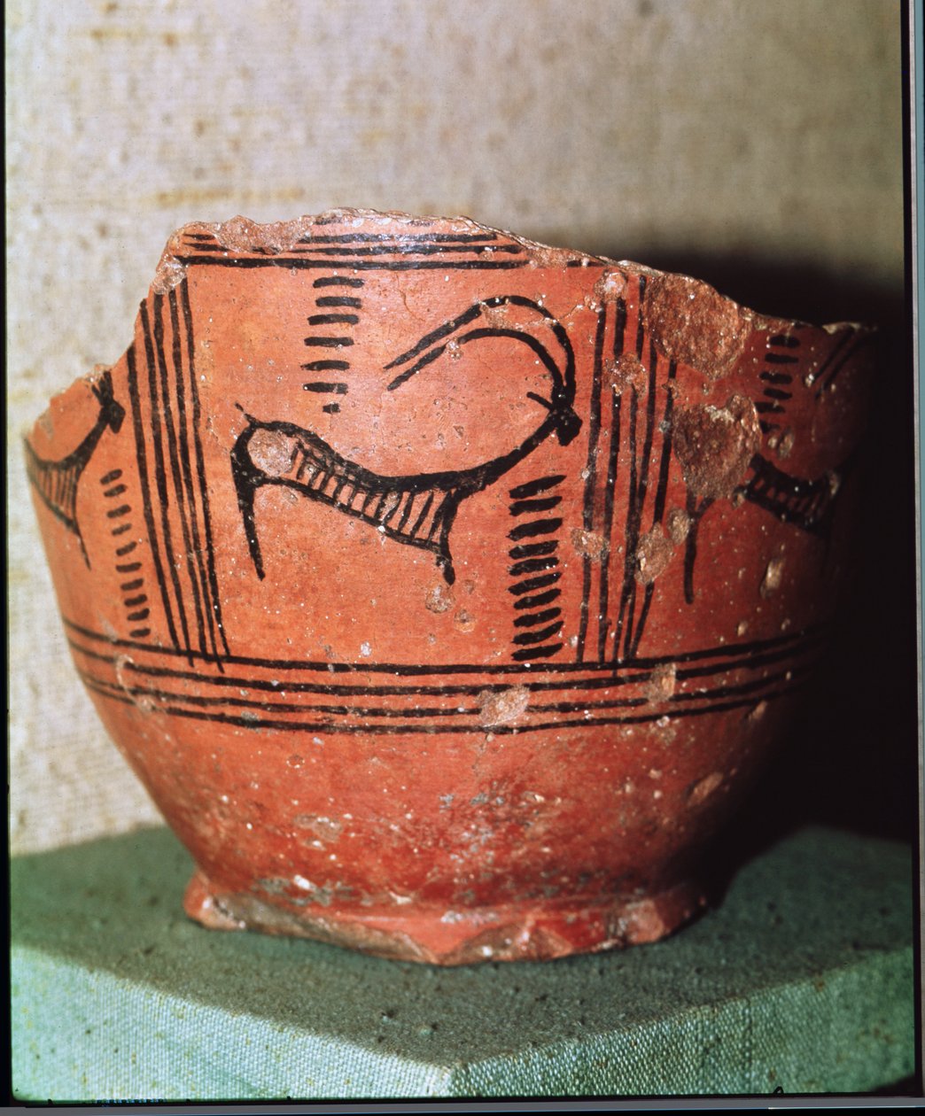 Fragment av en vas föreställande en stenbock, från Mohenjo-Daro, Indus Valley, Pakistan (keramik) av Harappan