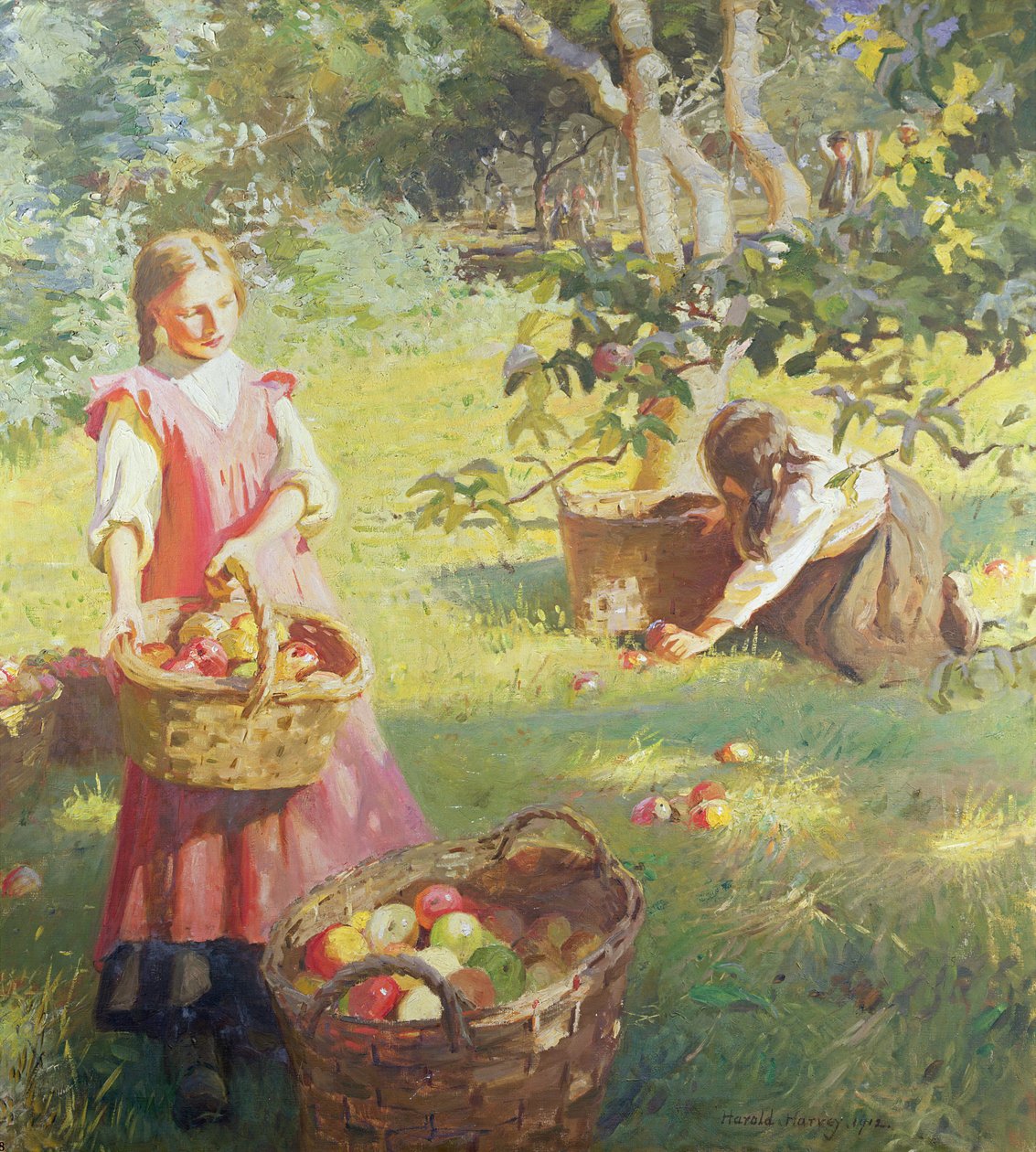Äpplen av Harold Harvey