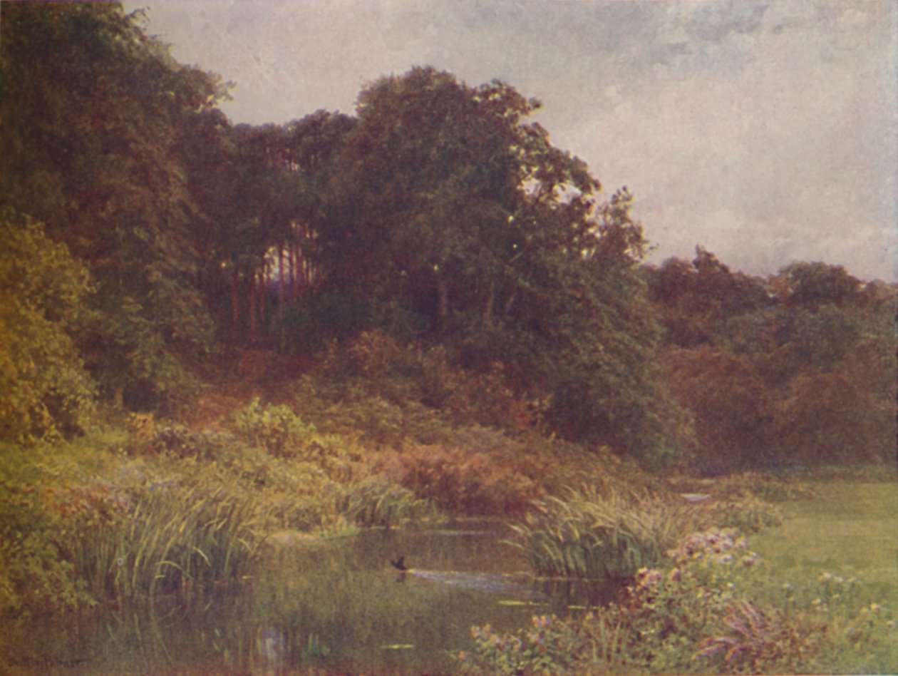 En bäck, 1910 av Harold Sutton Palmer