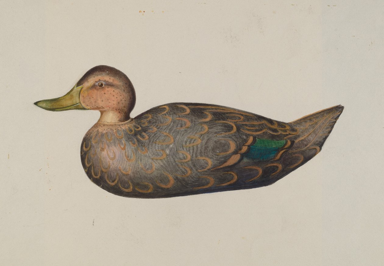 Decoy Duck av Harriette Gale