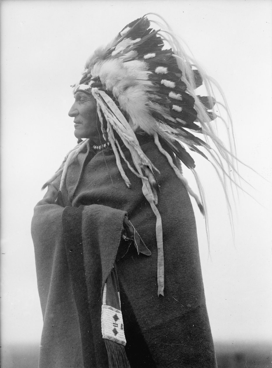Lazy Boy, indianhövding av Harris & Ewing