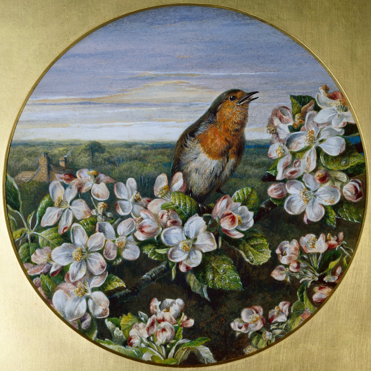 En Robin Among Blossom av Harrison William Weir