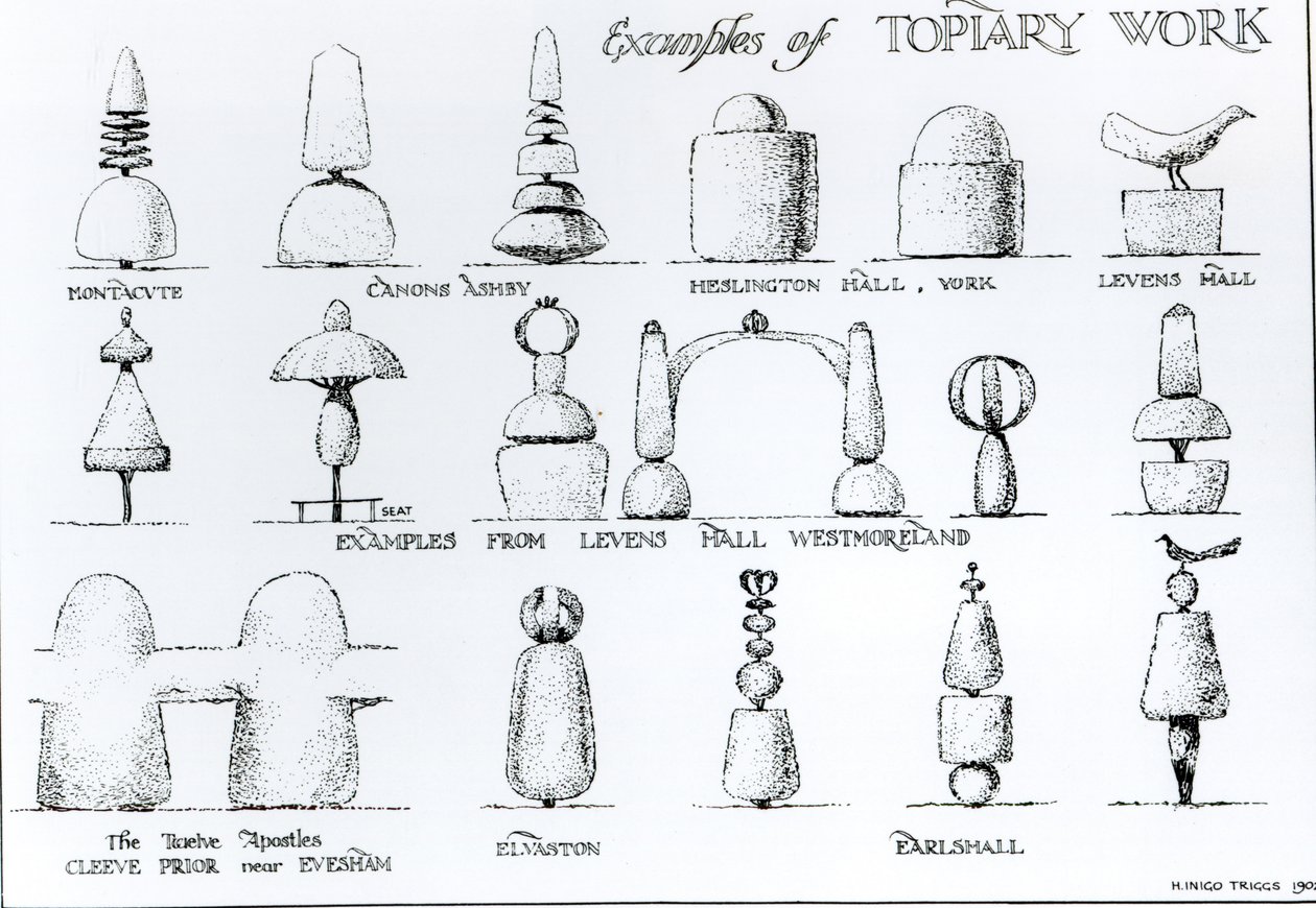 Exempel på topiary arbete, 1902 av Harry Inigo Triggs