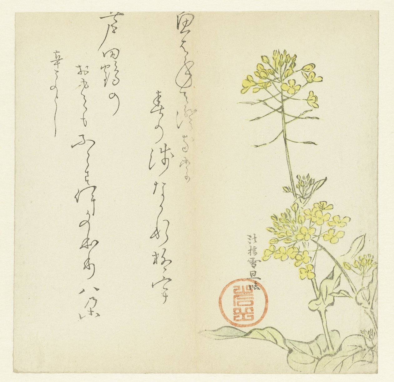 Blommor av Hasegawa Settan