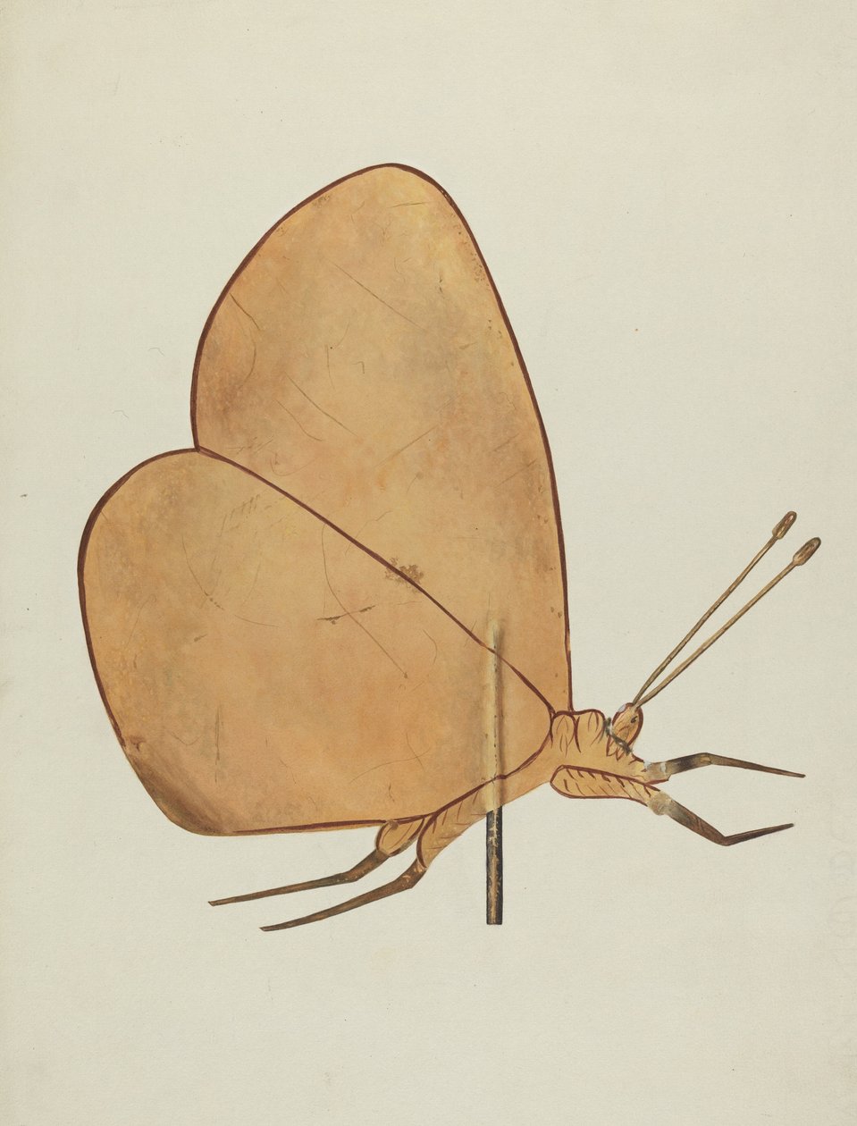Fjärilsväderflöjel, ca. 1938. av Hazel Hyde