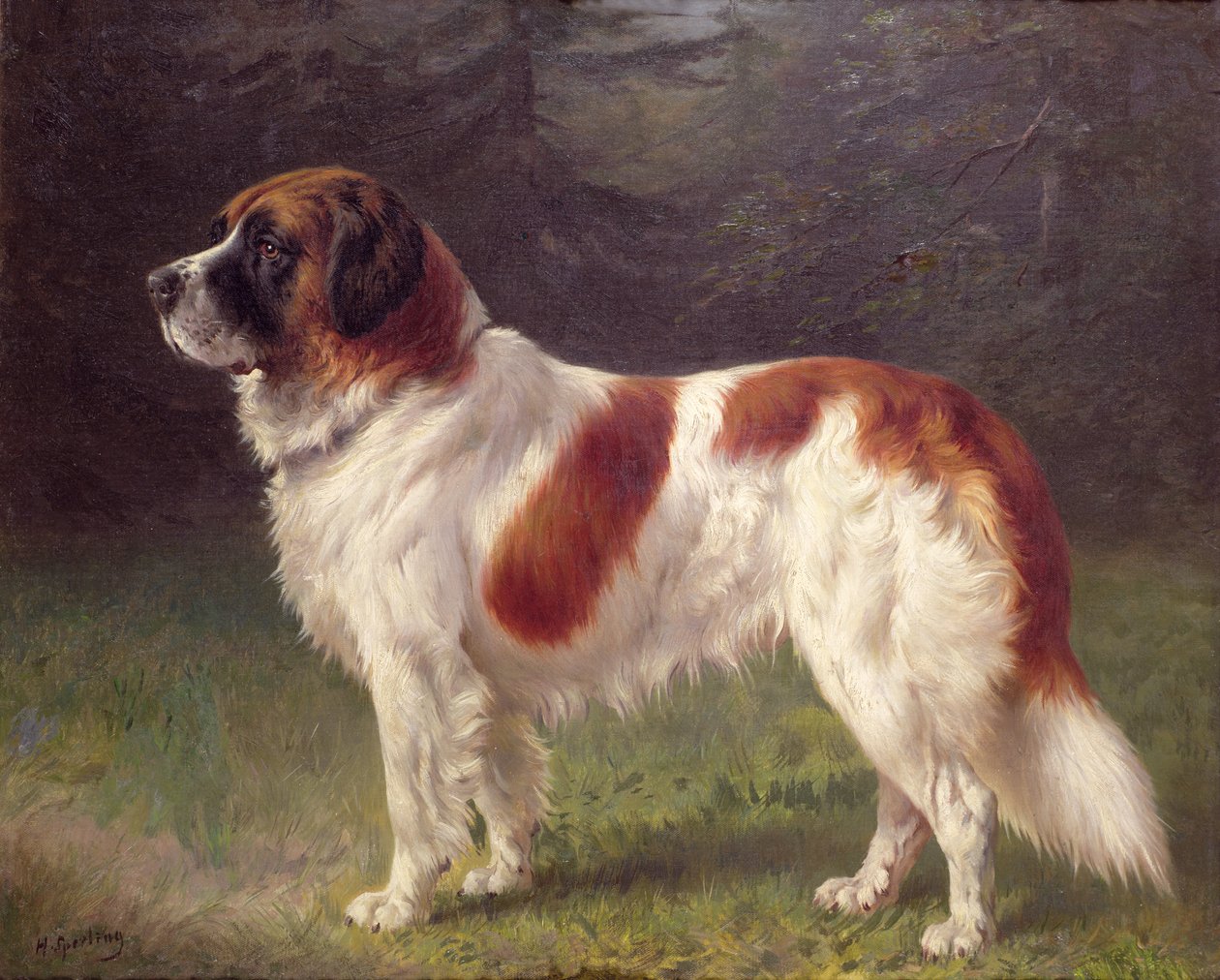 St Bernard av Heinrich Sperling