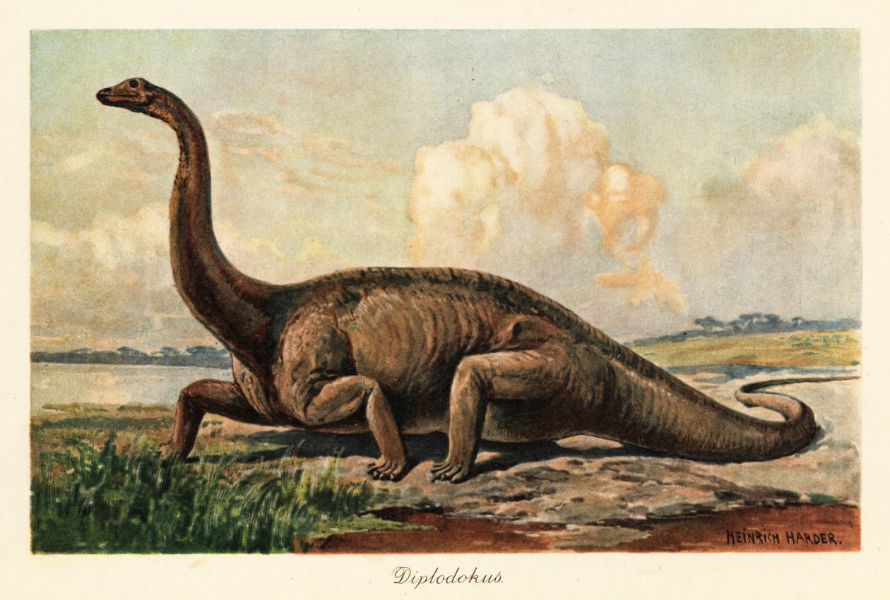 Utdöd Diplodocus longus på slätten. av Heinrich Harder