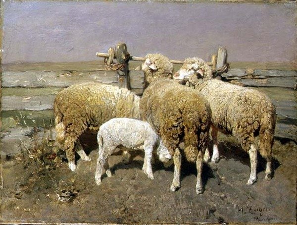 Får i en penna av Heinrich Johann von Zugel